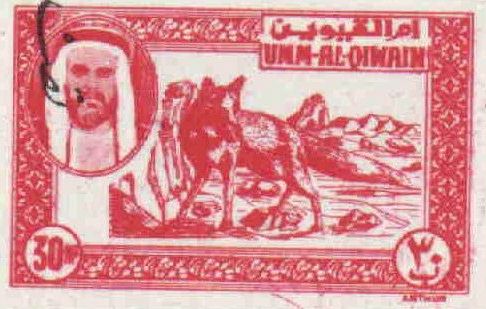 Umd dissertation format picture