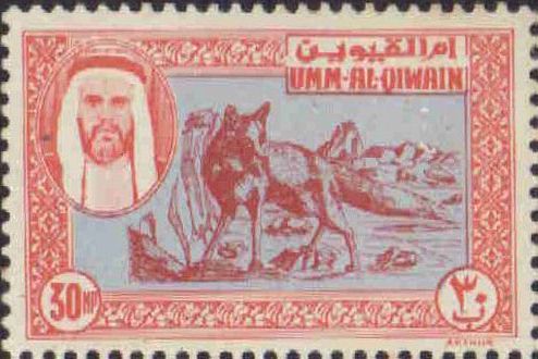 Umd thesis math picture